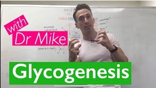 Glycogenesis & Glycogenolysis