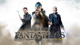 Animales Fantásticos 1 y 2: La Historia en 1 Video