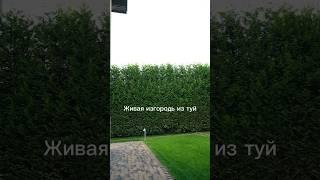 Школа ландшафтного дизайна ВИД. Станьте профессиональным ЛД с высокими чеками! Ссылка в описании.