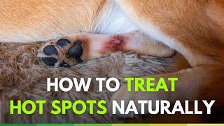 Natural treatment of hot spots in dogs