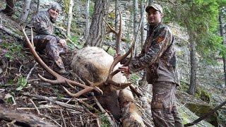 1070 yd shot ,Elk Hunt , long range hunting