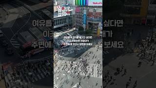 [도쿄 시부야] 스크램블교차로를 볼 수 있는 전망대 추천 #시부야