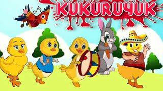 Kuku kukuruyuk | lagu anak anak | ayam jago namanya | ayam jago kukuruyuk | miaomi channel