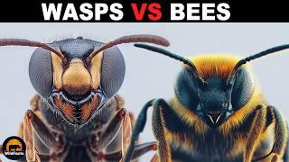 What Is The Difference Between Wasps And Bees?