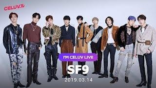 [Multi SUB/I'm Celuv] SF9(에스에프나인), 19년 3월 14일 방송 Full Ver. (Celuv.TV)