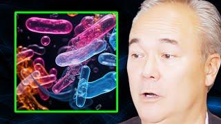 How Fermented Foods RESTORE the Microbiome (The Latest Science) | Dr. William Davis