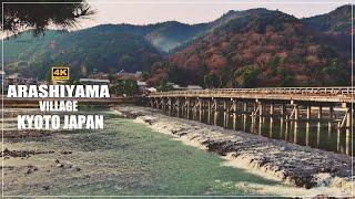 Arashiyama Village | Iwatayama Monkey Park | Togetsukyo Bridge | Kyoto Trip| Japan