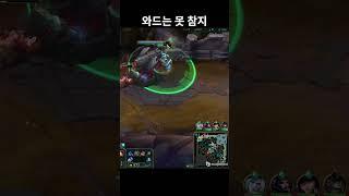 와드는 못 참지 #소나
