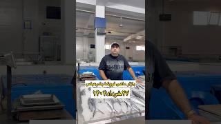 بازار ماهی فروشا بندرعباس این روزا چخبره #ماهی #fish #بندرعباس #ایران#shorts