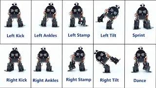 ACEBOTT STEM Robotics Kit for Beginners (Ages 12+) | Build and Code Your Own Biped Robot