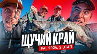 ЩУЧИЙ КРАЙ! Начало саратовской заварухи. PAL 2024