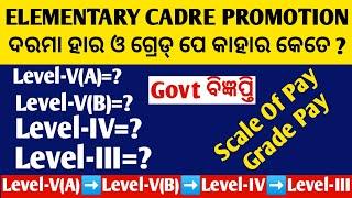 Salary Of Elementary Teachers Promotion Cadre Rule Wise Level-V(A),V(B),IV,III WithGovt Notification