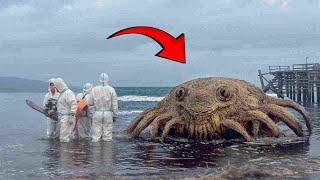 Strange Creatures that got Caught on Camera & Shocked the Whole World!