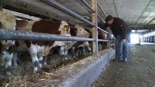 Review of CAP subsidy leave's Europe's farmers fearful