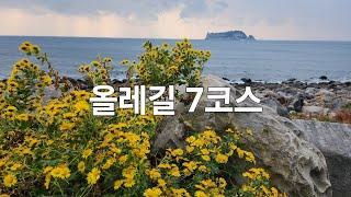 올레길7코스#제주#작가의산책길#칠십리시공원#천지연폭포#외돌개#법환포구#월평아왜냥목