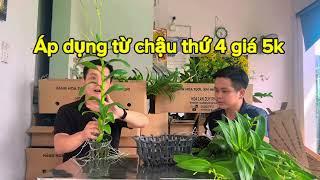 Hồng thơm siêu vòi giá 5K: "LÀ THẬT?"