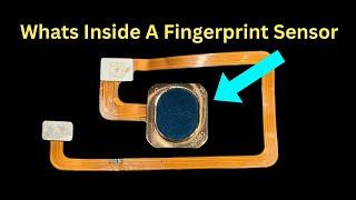 Whats Inside A Fingerprint Sensor