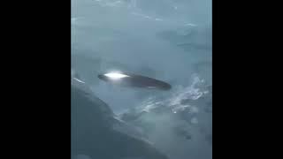 UFO / UAP - UndercoverETuk - Submit Your Evidence!