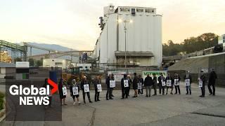 "It will slow everything": Grain workers start strike at 6 Metro Vancouver terminals