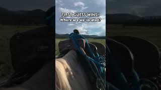 Who will win? #duderanch #viral #fyp #sprucedale #mountains