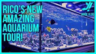 Rico’s Reeftank and Reefroom Tour! |  The Beginning of an Amazing Reef System!