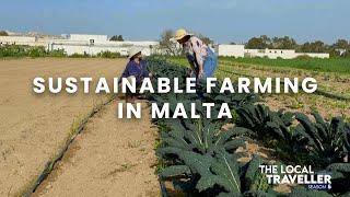 Sustainable Farming in Malta | S5 EP: 15, part 1 | The Local Traveller with Clare Agius | Malta