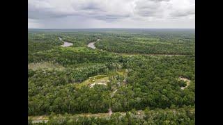 Waterfront Land in Florida Panhandle