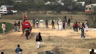 Dancing camel at Kila Raipur Sports Festival