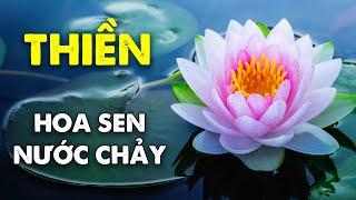 Nhạc Thiền Tịnh Tâm An Nhiên Tự Tại - Nhạc Thiền Hoa Sen Nước Chảy