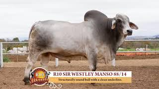 R10 & Nedibest Brahman Auction (Best of the Best 2018)