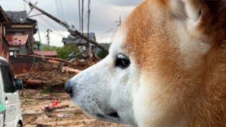 After the flood, Shibe went to see the office, but was blocked by a landslide.