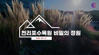 [SUB] 천리포수목원 비밀의정원 비공개 VVIP 구역 보존학자의 해설 탐방 ㅣ 아빠 어디 가? ㅣ KR EN CH JP