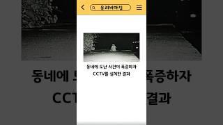 밤마다 물건 훔쳐가는 도둑의 정체
