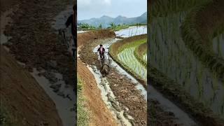 This Sustainable Farm is Pure Genius! 