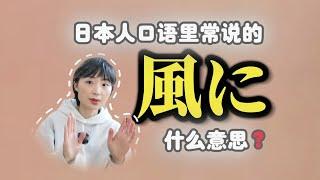 日本人口语里常说的「風に」是什么意思？