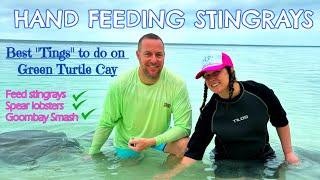 Best things to do on Green Turtle Cay in the Bahamas Feeding stingrays and the famous Goombay Smash