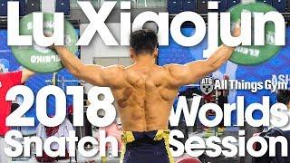 Lu Xiaojun 160kg / 352lbs Snatch Session 2018 World Championships Training Hall [4k]