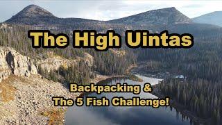 The High Uintas of Utah | Backpacking & The 5 Fish Challenge! #backpacking  #fishing #uintas #utah