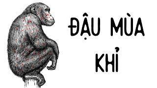 ĐẬU MÙA KHỈ LÀ GÌ?