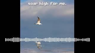 soar high for me.  - Sterling Matthew Oliver