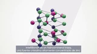 Modo de acción IntelliBond: Minerales traza de última generacióm