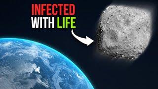 Shocking Discovery: Earth Bacteria Found In Ryugu Asteroid Samples!