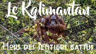 We Love Indonésie #3 - Le Kalimantan hors des sentiers battus