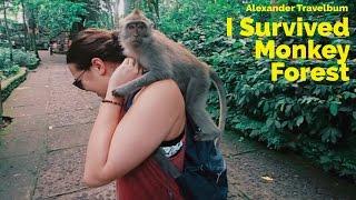 Sacred Monkey Forest, Ubud Bali  Indonesia