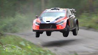 WRC Rally Finland 2024 | JUMP & FLAT OUT PARADISE