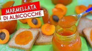 Marmellata di albicocche fatta in casa: ricetta della confettura di albicocche