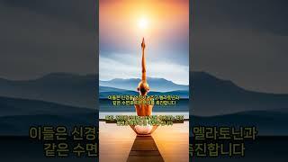 불면증에 좋은 음식과 건강관리법