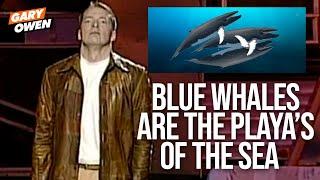 Blue Whales Are Playa's Of The Sea | Gary Owen