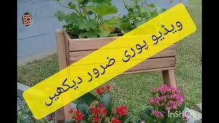 Nadeem Choudhary S