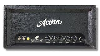 Acorn Gainesville Amp Demo